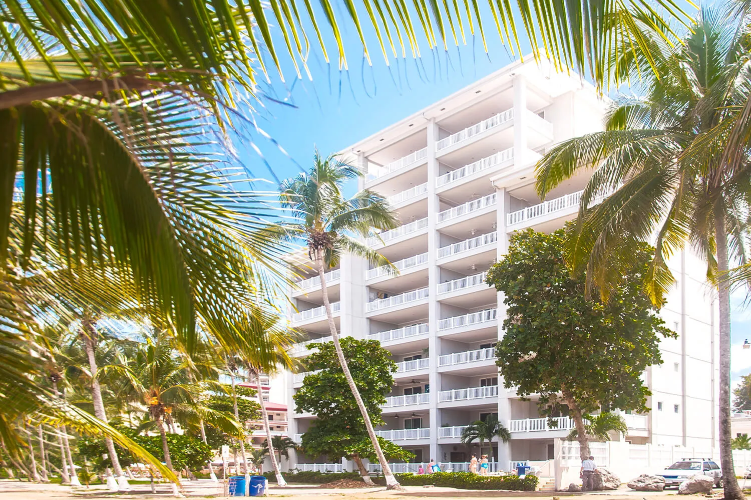 The Palms condominium tower in Jaco Beach framed by coconut palms