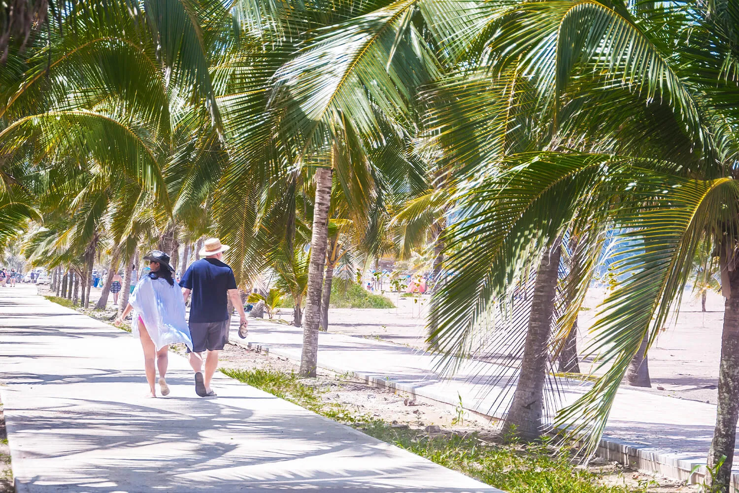 Couple walking the palm-lined beach path in front of The Palms in Jaco