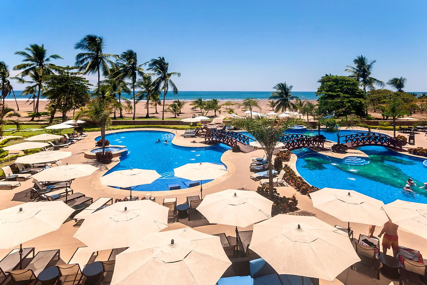 Croc's Resort pool area with umbrellas next door to The Palms in Jaco