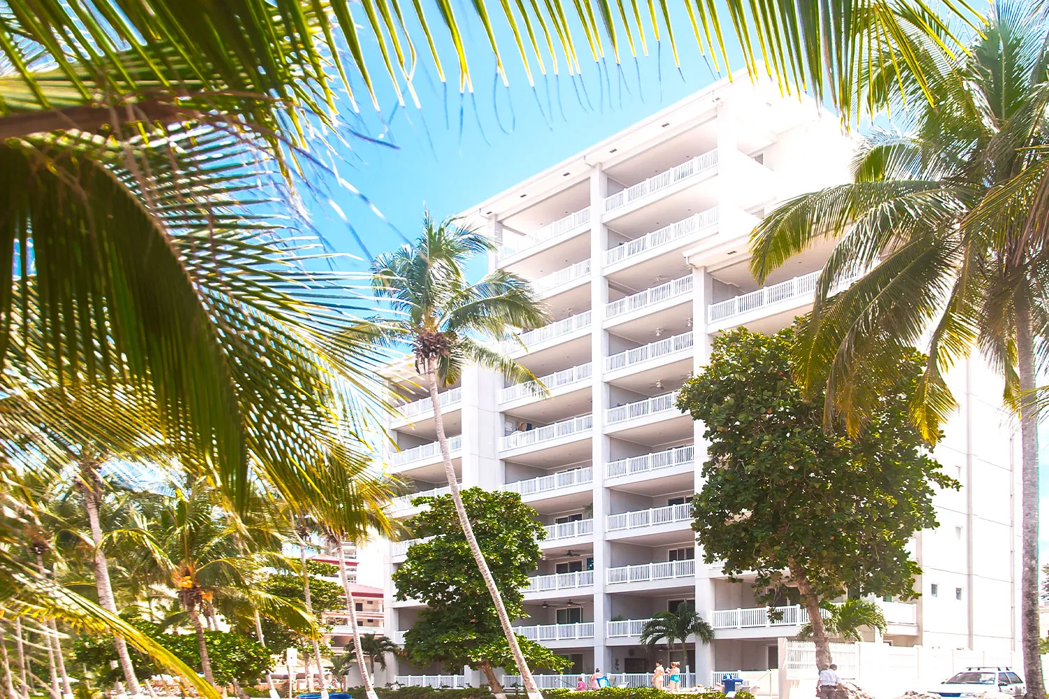 The Palms tower behind the beachfront palm trees