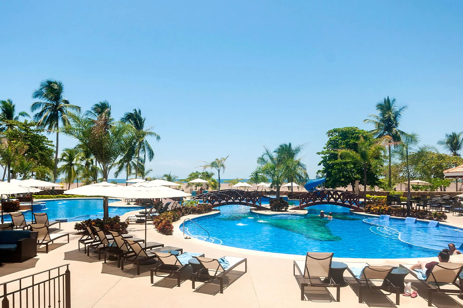 Croc's Resort pools and loungers next to The Palms