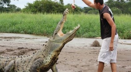 Crocodile-Tarcoles-River-Tours-Jaco-Costa-Rica-5 (1)