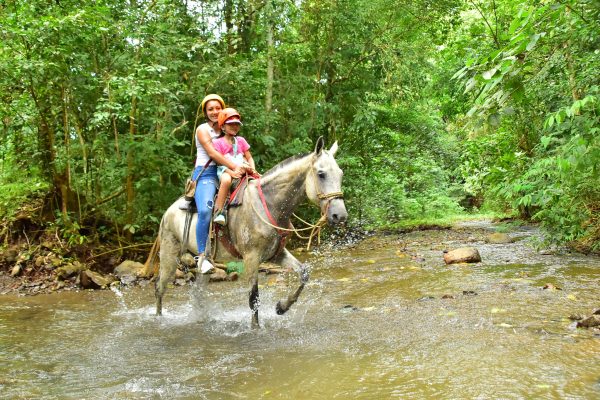 Horse-Tours-Costa-Rica-Jaco-Los-Suenos-2